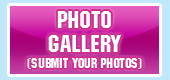 View Our Photo Gallery! View Our Photo Gallery!